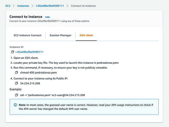 Connect to the instance via SSH