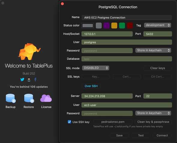 TablePlus Connection Details